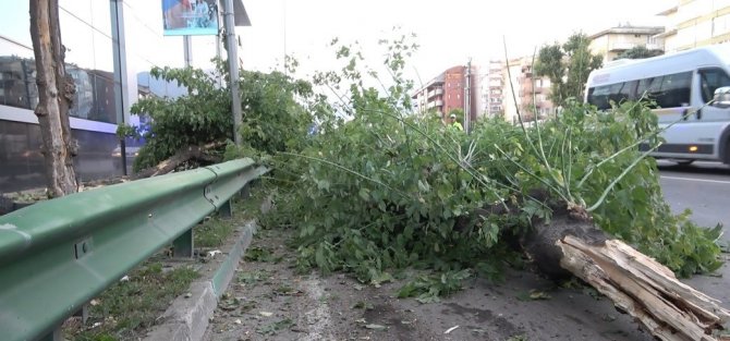 Ağaçları yerinden söken kamyonet yan yattı: 2 yaralı