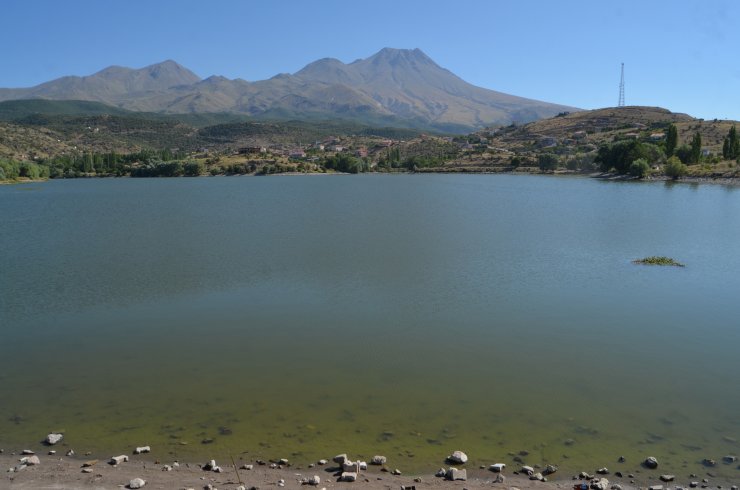 Balık ölümlerinin yaşandığı göletten alınan numuneler İzmir'e gönderildi
