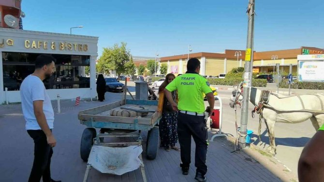 Başıboş at trafiği altüst etti