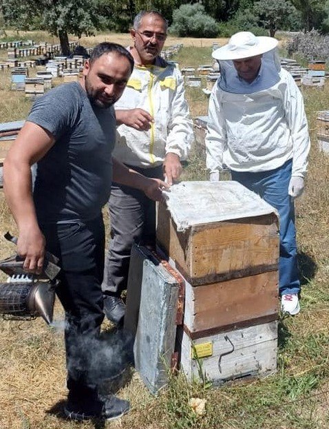 Binali Yıldırım, baba ocağı Erzincan'da bal hasadı yaptı