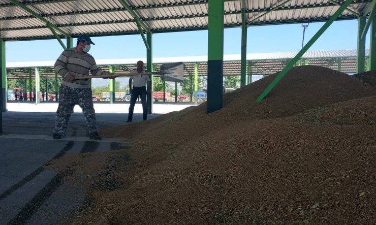 Buğday ve arpa alımına çiftçilerden yoğun ilgi