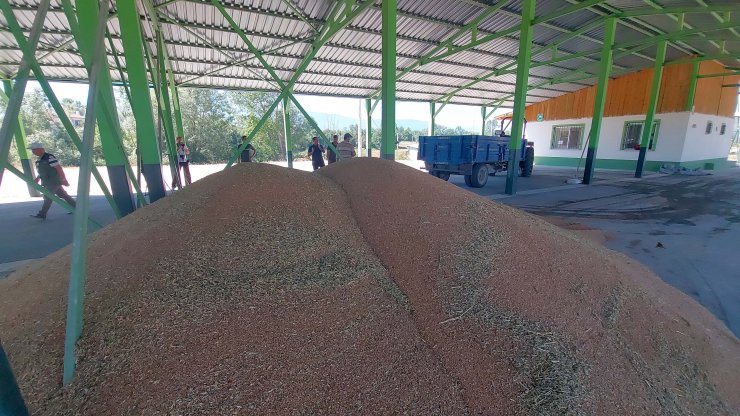 Buğday ve arpa alımına çiftçilerden yoğun ilgi