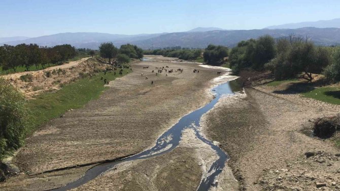 Çiftçilerin bu sene yüzü gülüyor