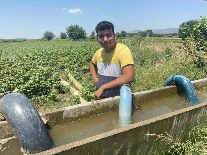 Çiftçilerin bu sene yüzü gülüyor