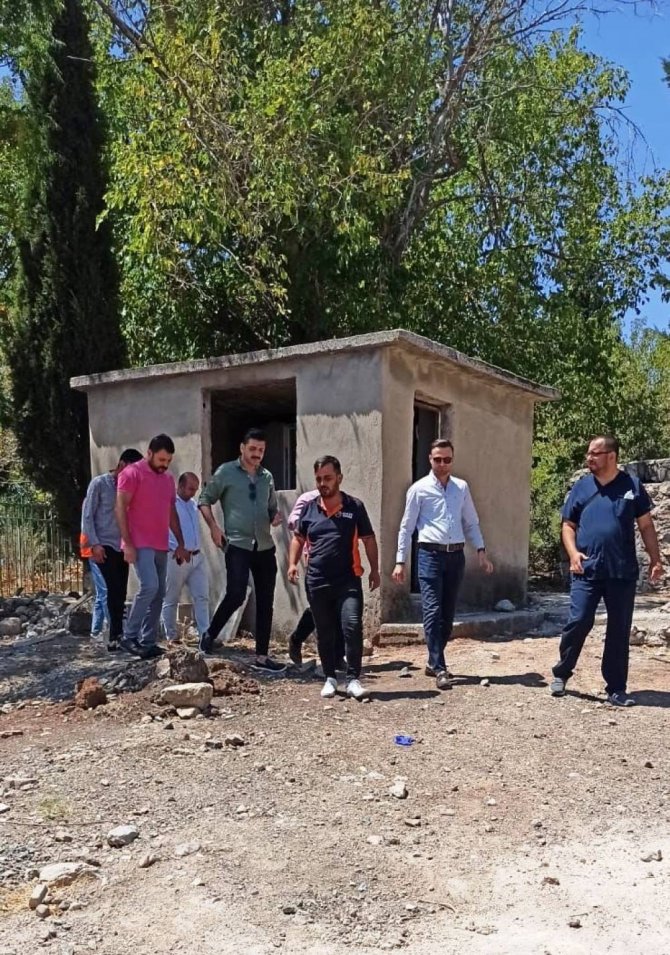Hatay’da öldürülen yavru köpekler için suç duyurusu