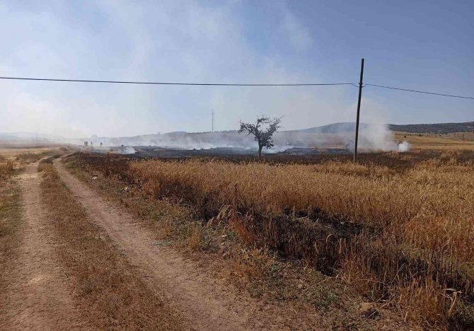 Kütahya’da balya makinesi kıvılcımından çıkan yangında 2 dekar alan yandı