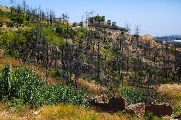 Manavgat, büyük yangının birinci yılında hayata dönüyor