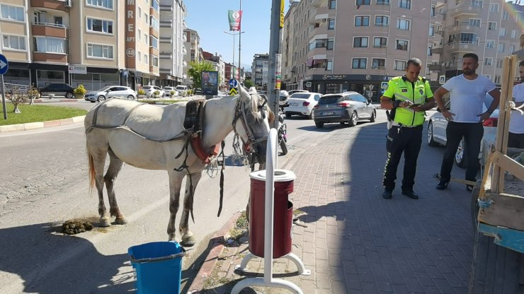 Sahibinin elinden kaçan arabaya koşulu at, otomobile zarar verdi