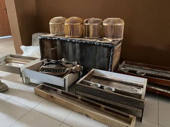 Siirt’te kaçak avcıya tutanak tutuldu