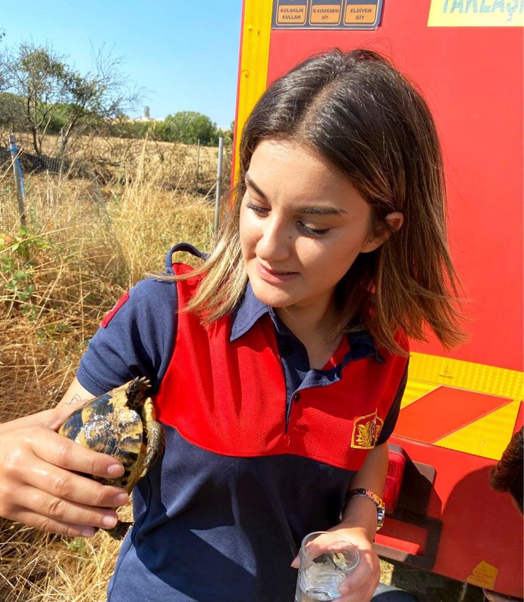 Alevlerin arasında kalan kaplumbağa, son anda kurtarıldı