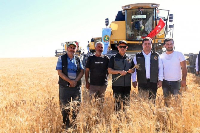 Buğdayın fiyatı belli oldu