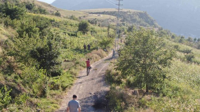 Bamya ve mısır hırsızları vatandaşların kabusu oldu