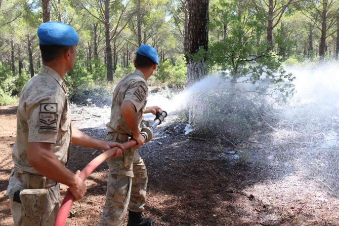 Jandarma ekipleri orman yangınlarına hazır