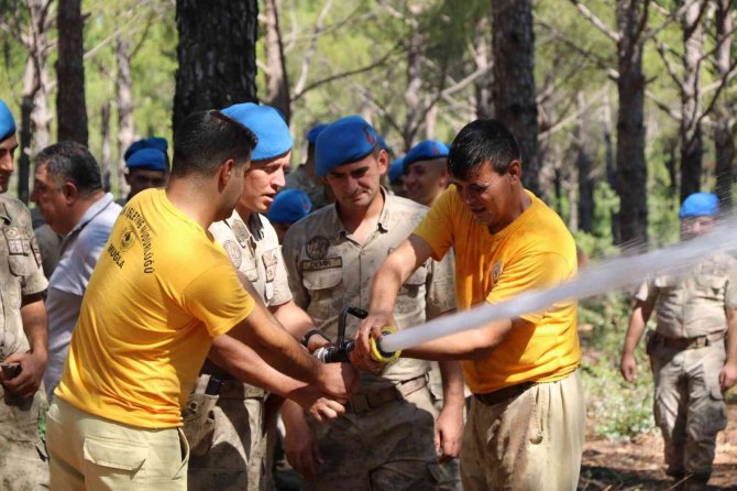 Jandarma ekipleri orman yangınlarına hazır