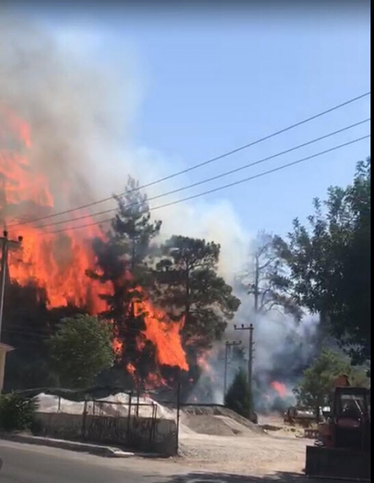 Marmaris'te yerleşim yeri yakınında orman yangını