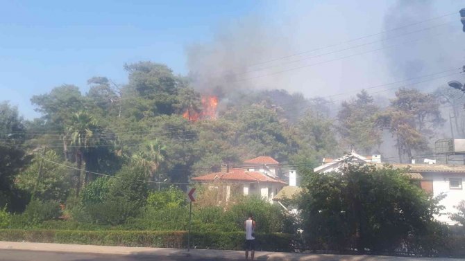 Marmaris’teki orman yangını kontrol altına alındı