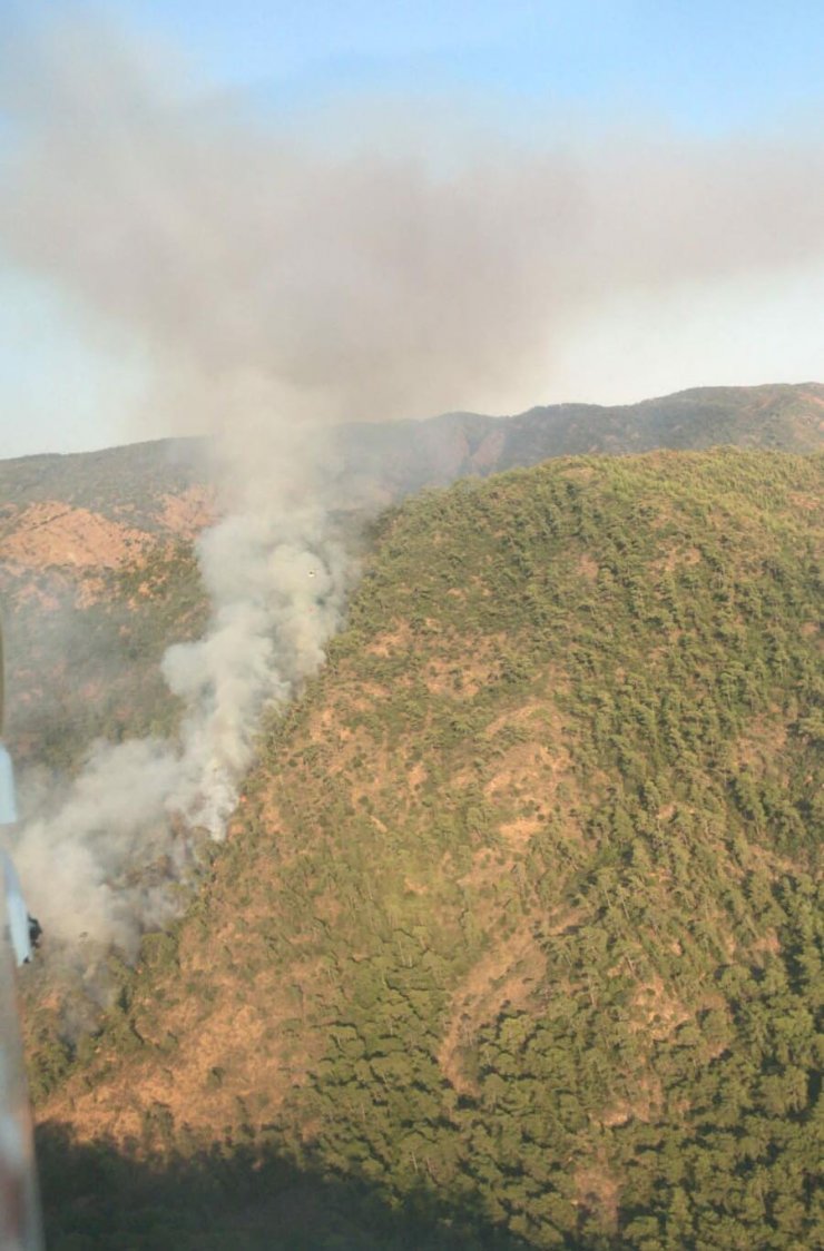 Marmaris'teki yangının çıkış nedenini özel ekip araştırıyor