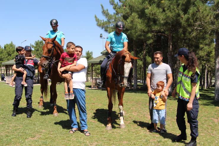 Elazığ’da atlı jandarma timleri göreve başladı