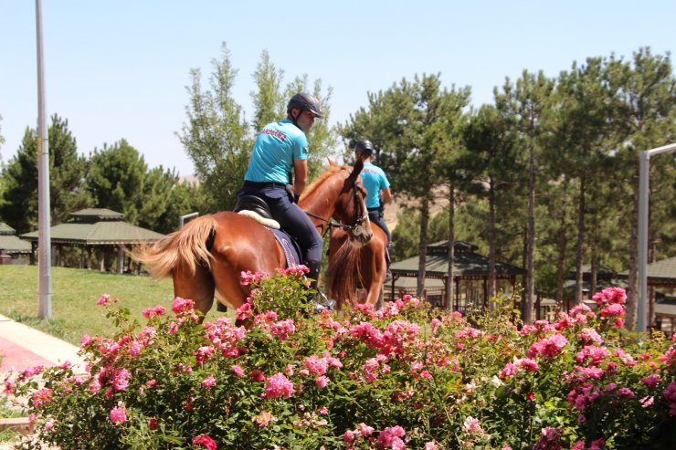 Elazığ’da atlı jandarma timleri göreve başladı