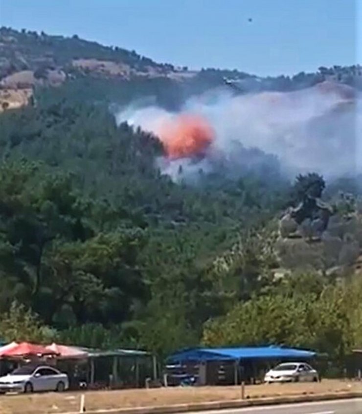 Orman yangını büyümeden söndürüldü