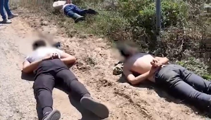 Ormanda kenevir eken 3 şüpheli, suçüstü yakalandı