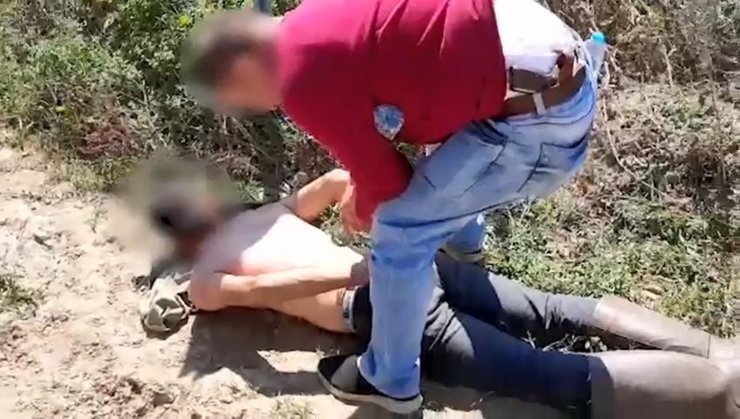 Ormanda kenevir eken 3 şüpheli, suçüstü yakalandı