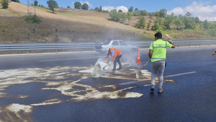 Sürücünün kolunu arı sokunca TIR bariyerlere çarptı, 400 litre mazot yola aktı
