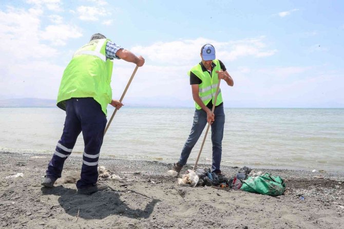 Van Gölü sahilinde tonlarca çöp toplandı