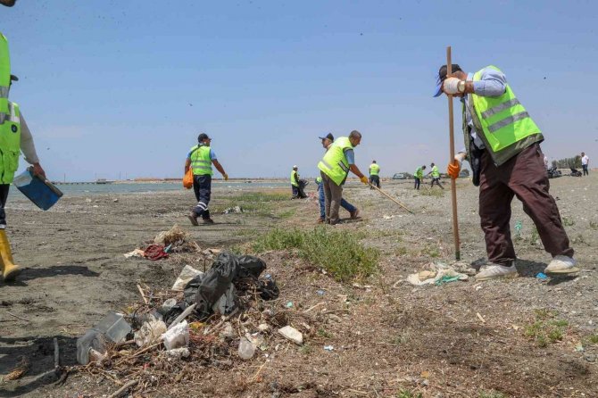 Van Gölü sahilinde tonlarca çöp toplandı