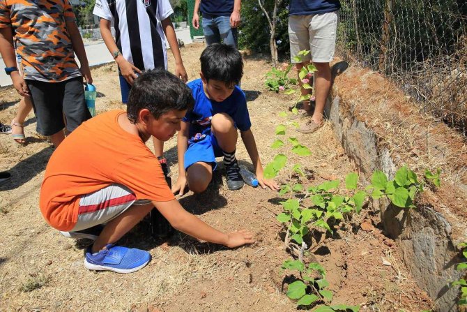 80 minik yürek, can dostlarıyla buluştu