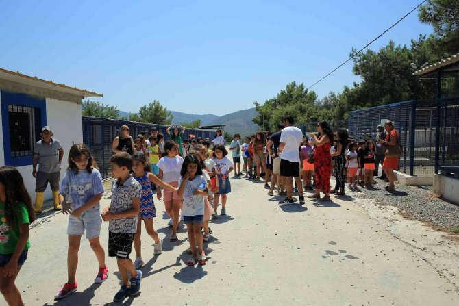 80 minik yürek, can dostlarıyla buluştu