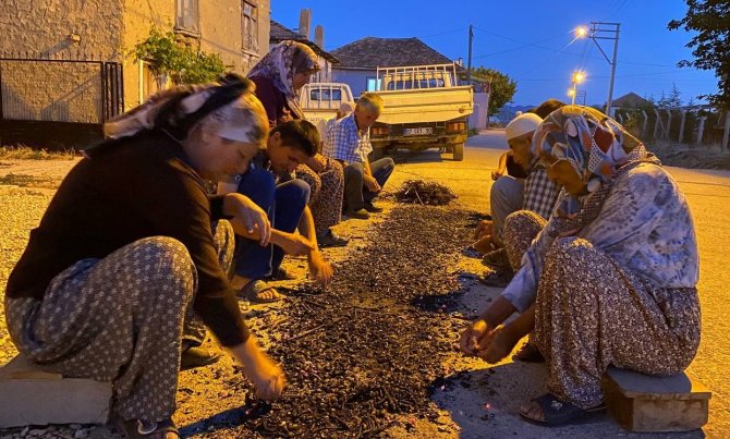 Asırlık gelenek nohut ütmesi tarih oluyor