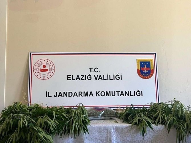 Elazığ’da jandarmadan eş zamanlı uyuşturucu operasyonu
