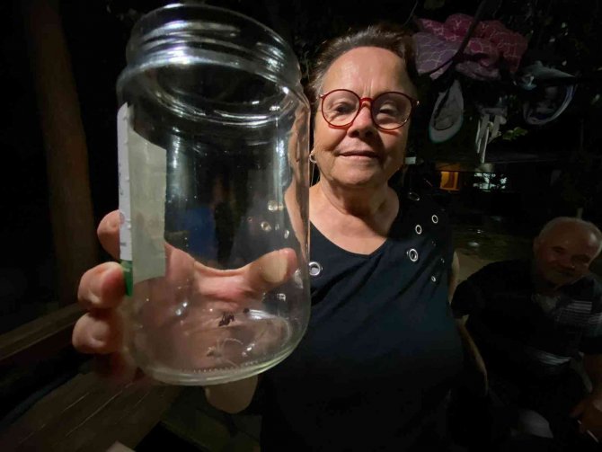 İnsan yüzlü örümcek görenleri şaşkına çevirdi