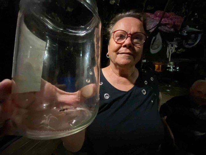 İnsan yüzlü örümcek görenleri şaşkına çevirdi