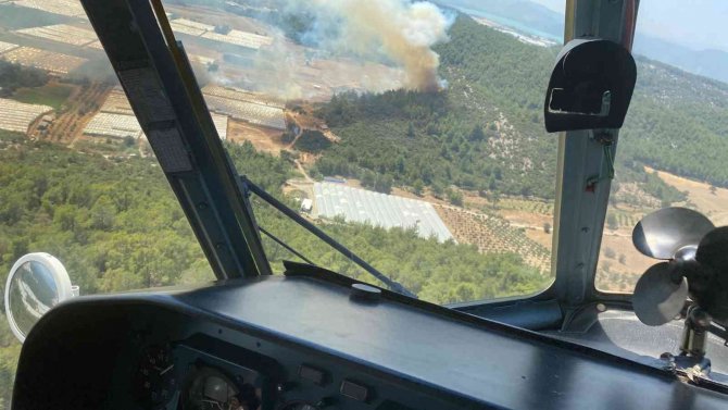 İzmir’de sera yangını