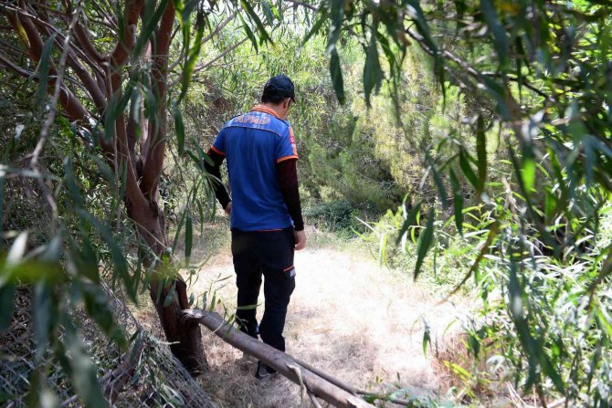 Kayıp kadının cesedi bulundu