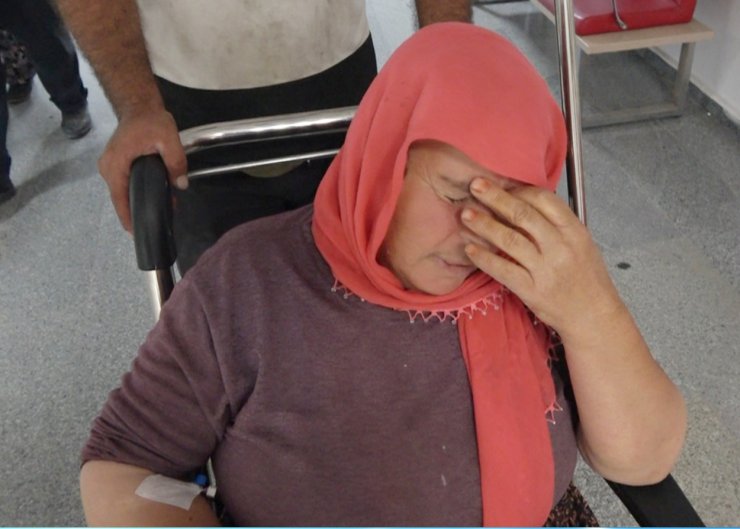Köpeklerin saldırısında yaralandı, hastaneye giderken kaza geçirdi