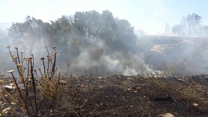 Örtü yangınında arı kovanları ve ağaçlar küle döndü