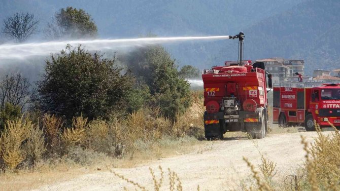 Örtü yangınında arı kovanları ve ağaçlar küle döndü