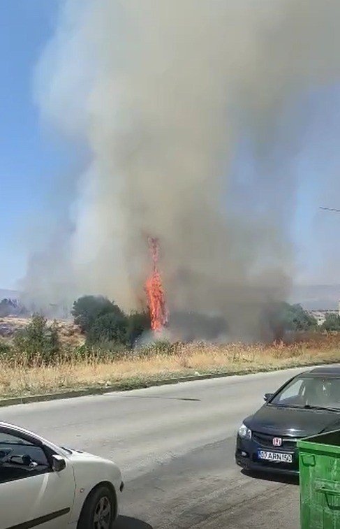 Örtü yangınında arı kovanları ve ağaçlar küle döndü