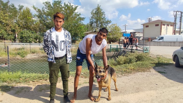 Sahibinin boğulduğunu zanneden köpek suya atladı; o anlar kamerada