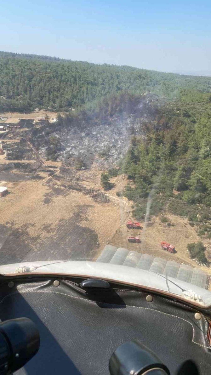 Sera yangınları kontrol altında