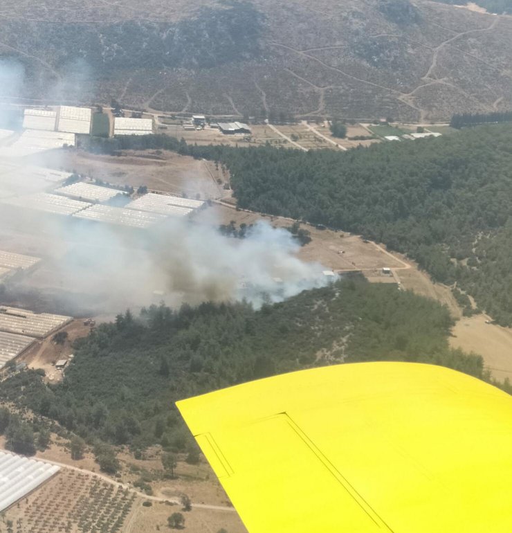 Serada çıkan yangın, ormana sıçradı