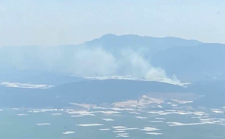 Serada çıkan yangın, ormana sıçradı