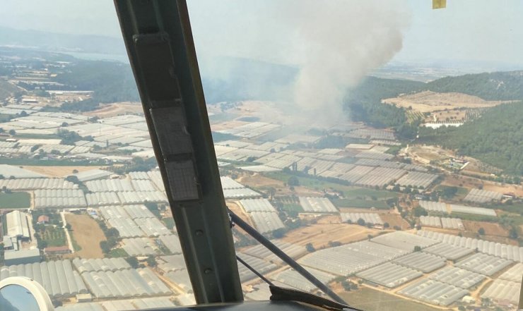 Serada çıkan yangın, ormana sıçradı