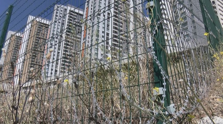 Sitede sokak hayvanlarına 'jiletli tel' tuzağına tepki