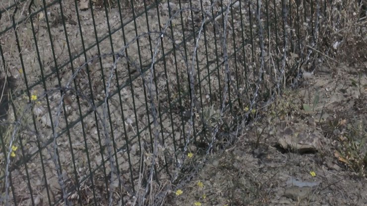 Sitede sokak hayvanlarına 'jiletli tel' tuzağına tepki