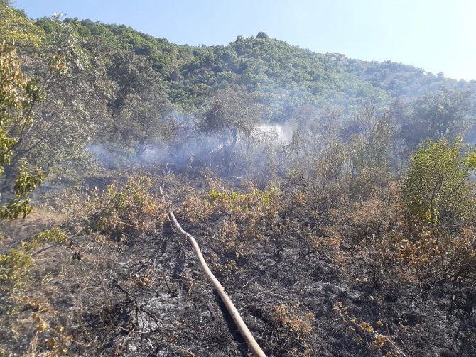 Tunceli’de örtü yangını söndürüldü
