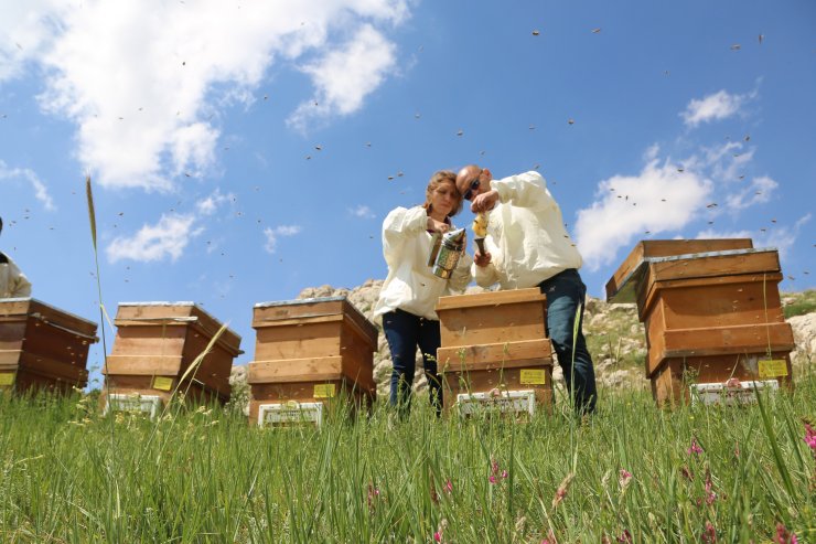 Türk arıcılar ‘oğul balını’ dünyaya tanıtıyor